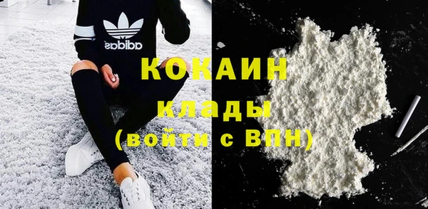 прущие грибы Балабаново