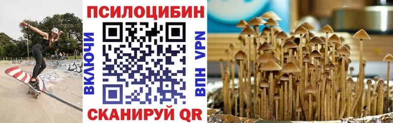 сайты даркнета состав  Бокситогорск  Галлюциногенные грибы Magic Shrooms 